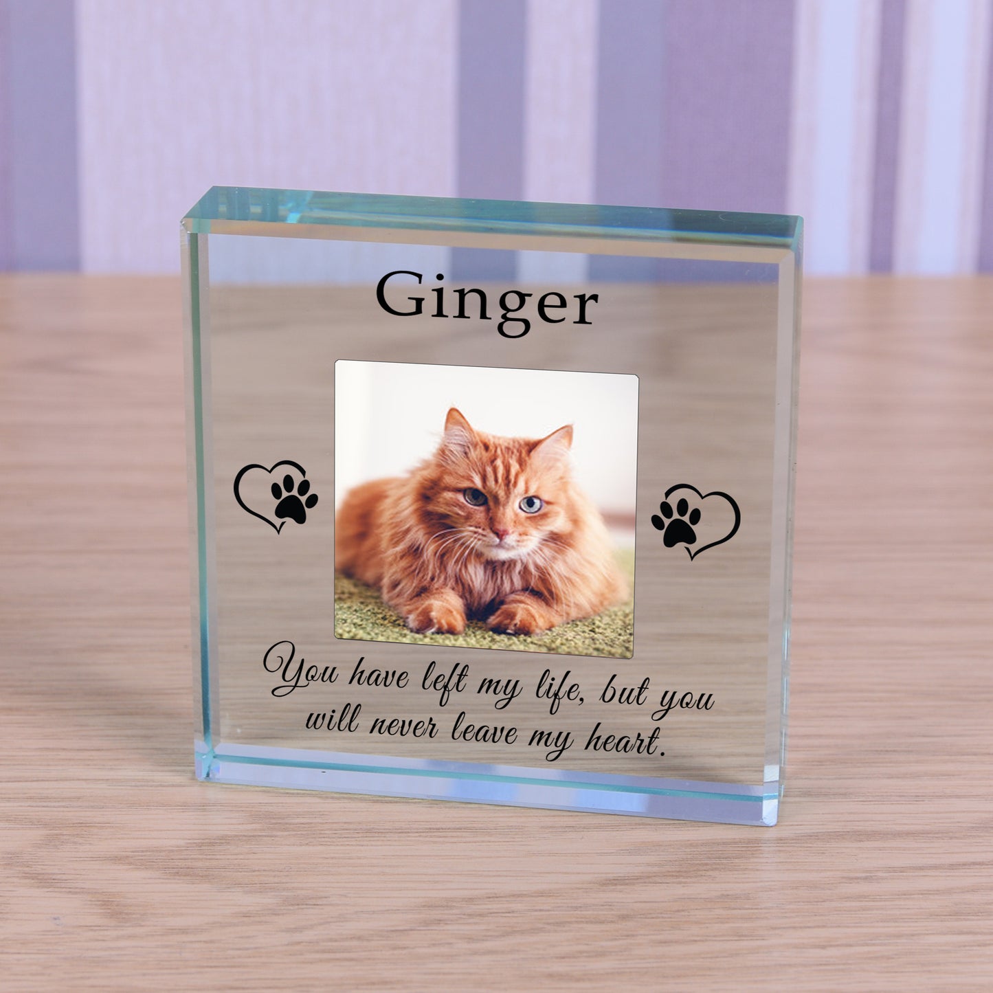 Never Leave My Heart Pet Memory Glass Token