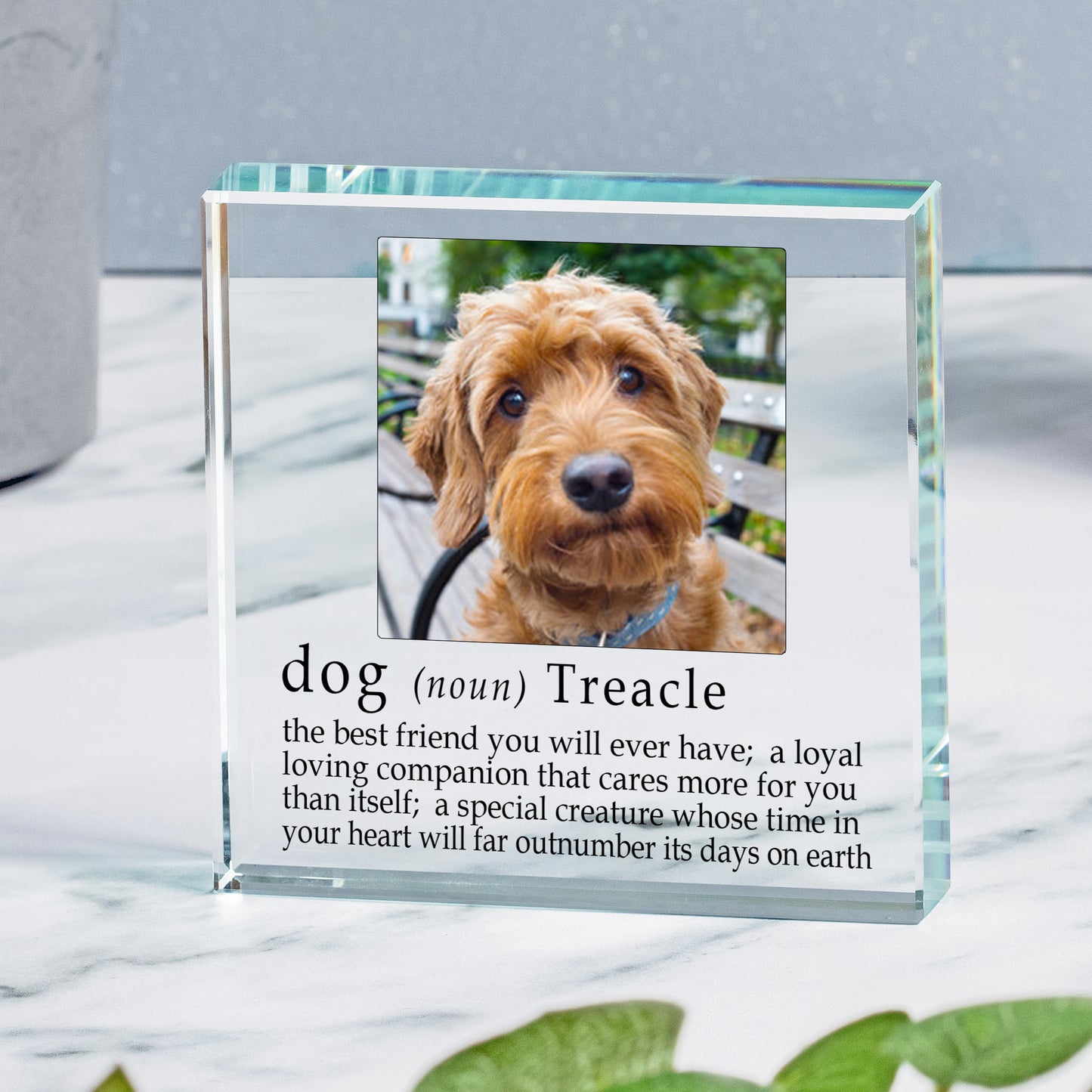 Definition of a Dog Glass Token keepsake gift