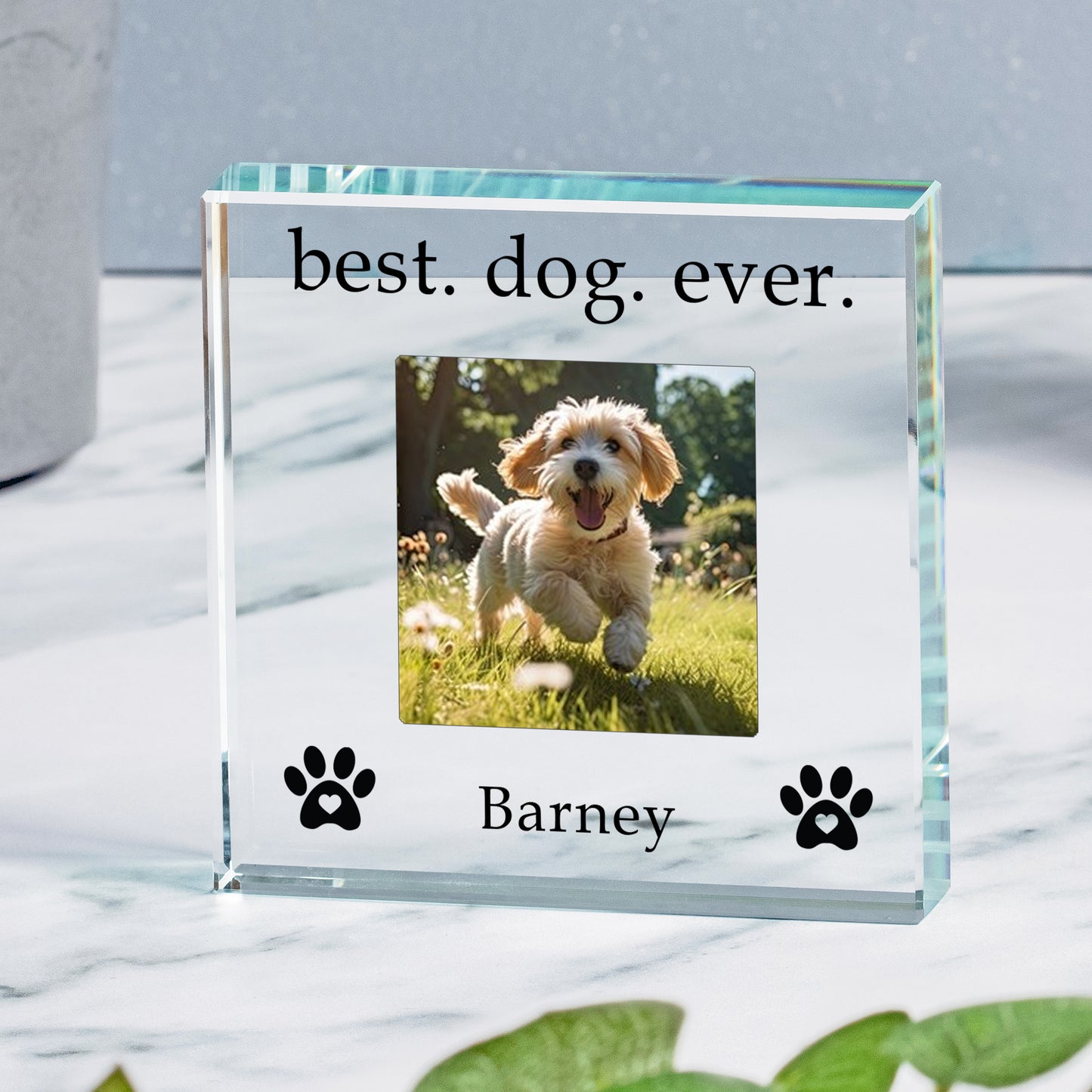Best Dog Ever personalised Glass Token