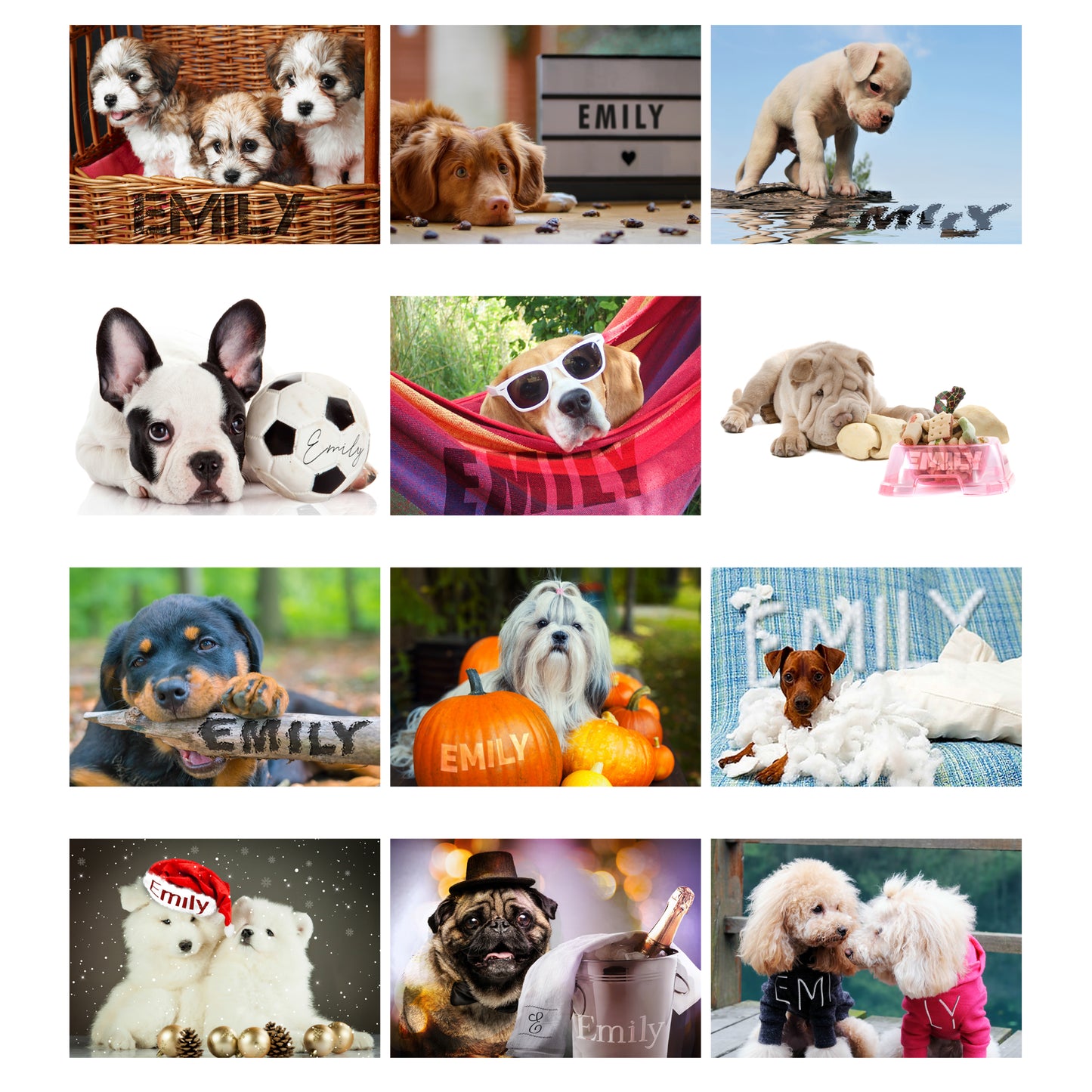 Personalised Barking Mad Dog Desk Calendar