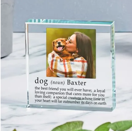 Definition of a Dog Glass Token keepsake gift