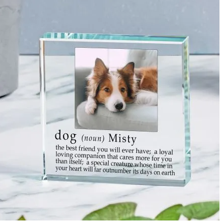 Definition of a Dog Glass Token keepsake gift