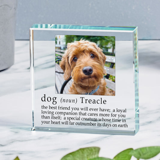 Definition of a Dog Glass Token keepsake gift