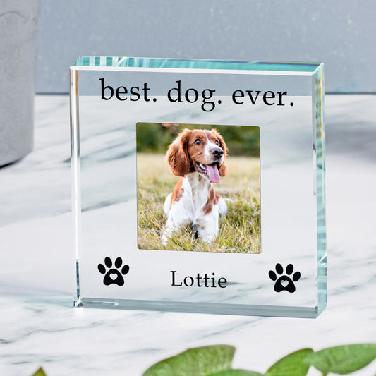Best Dog Ever personalised Glass Token