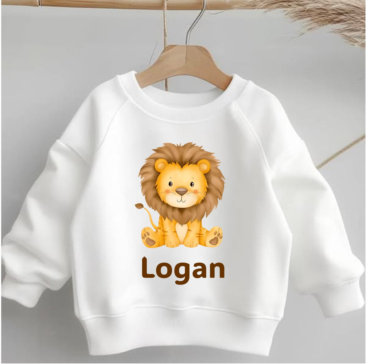 Boys personalised lion sweatshirt