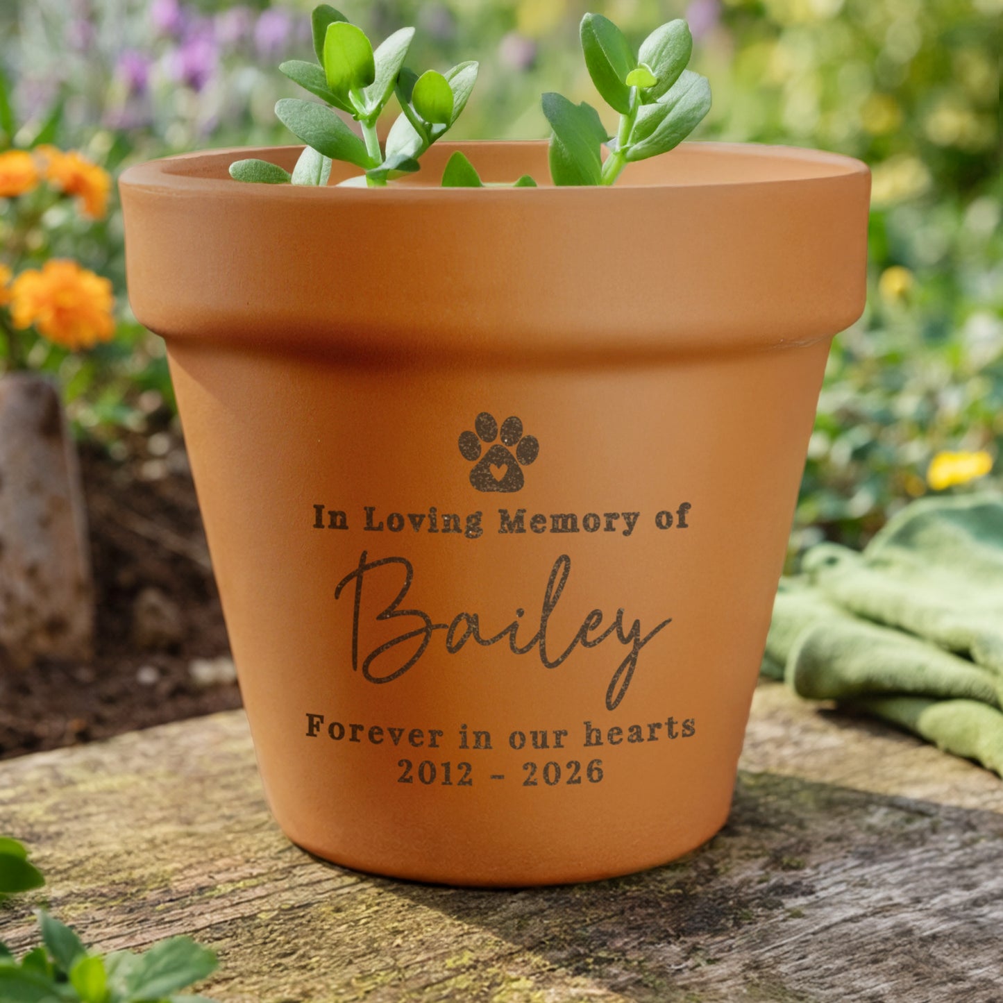 Personalised Pet Memorial Terracotta Plant Pot