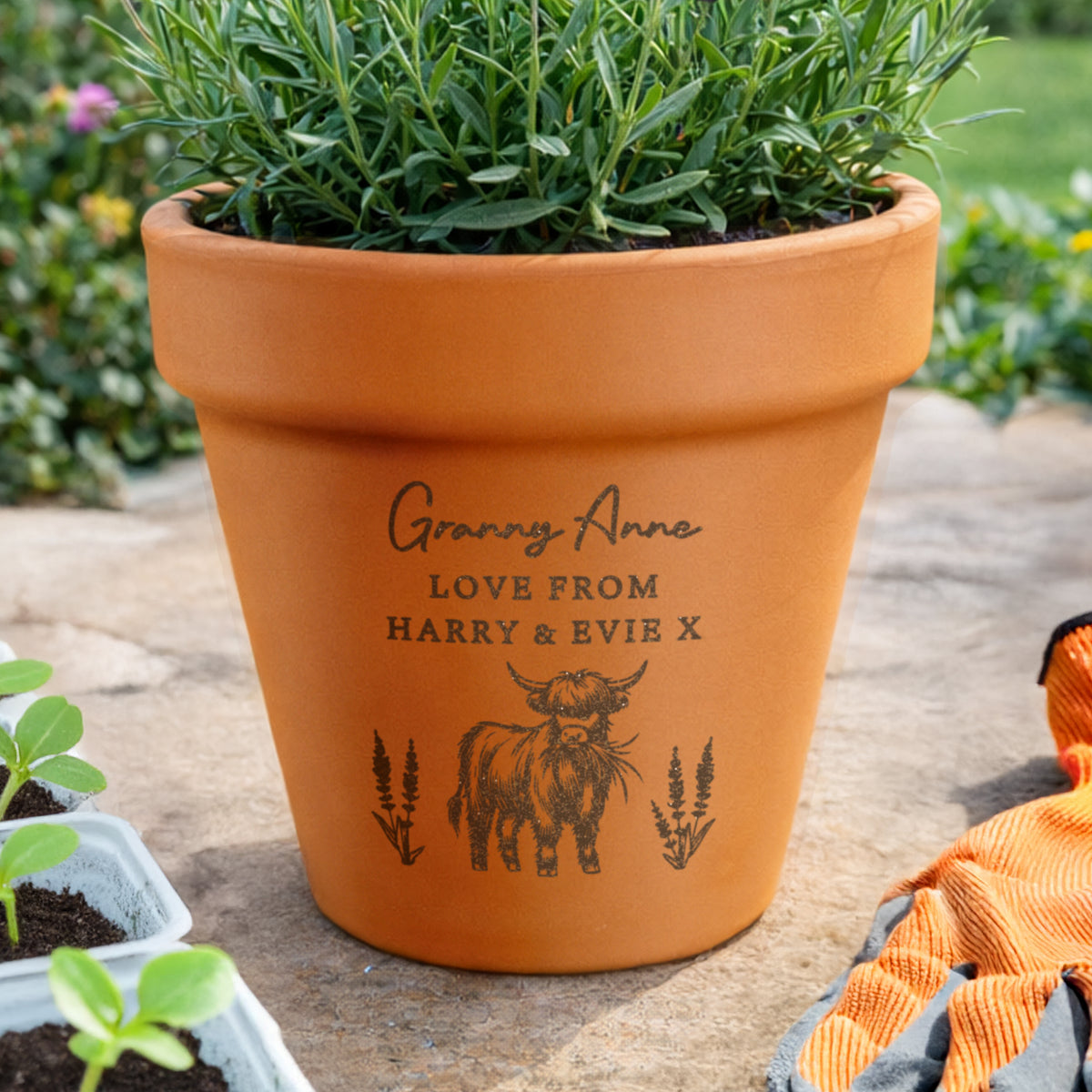 Personalised Highland Cow Terracotta Plant Pot