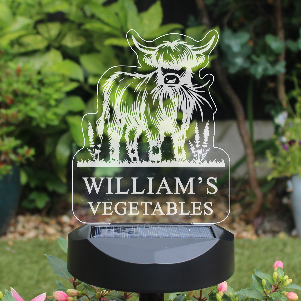 Personalised Highland Cow Garden Solar Light