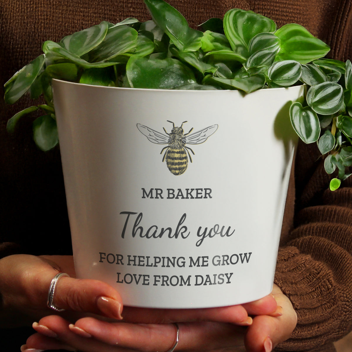 Personalised Bee Large Plant Pot