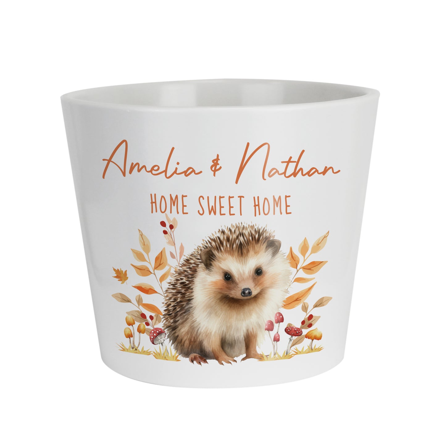 Personalised Hedgehog Large Plant Pot