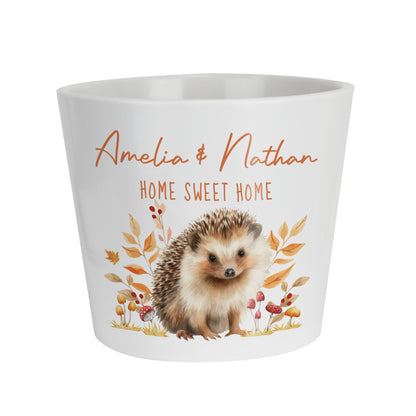 Personalised Hedgehog Large Plant Pot