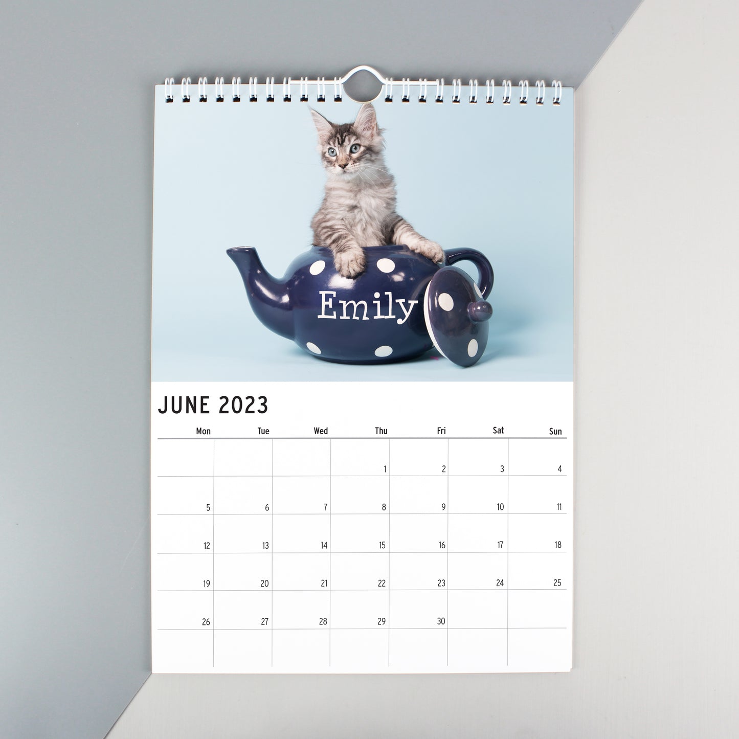 Personalised Cats and Kittens Desk Calendar
