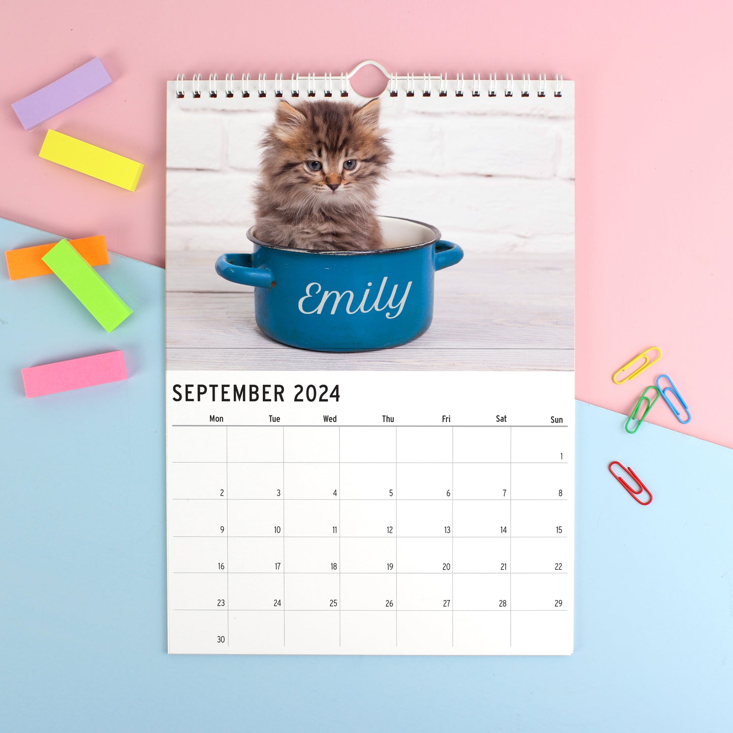 Personalised Cats and Kittens Desk Calendar