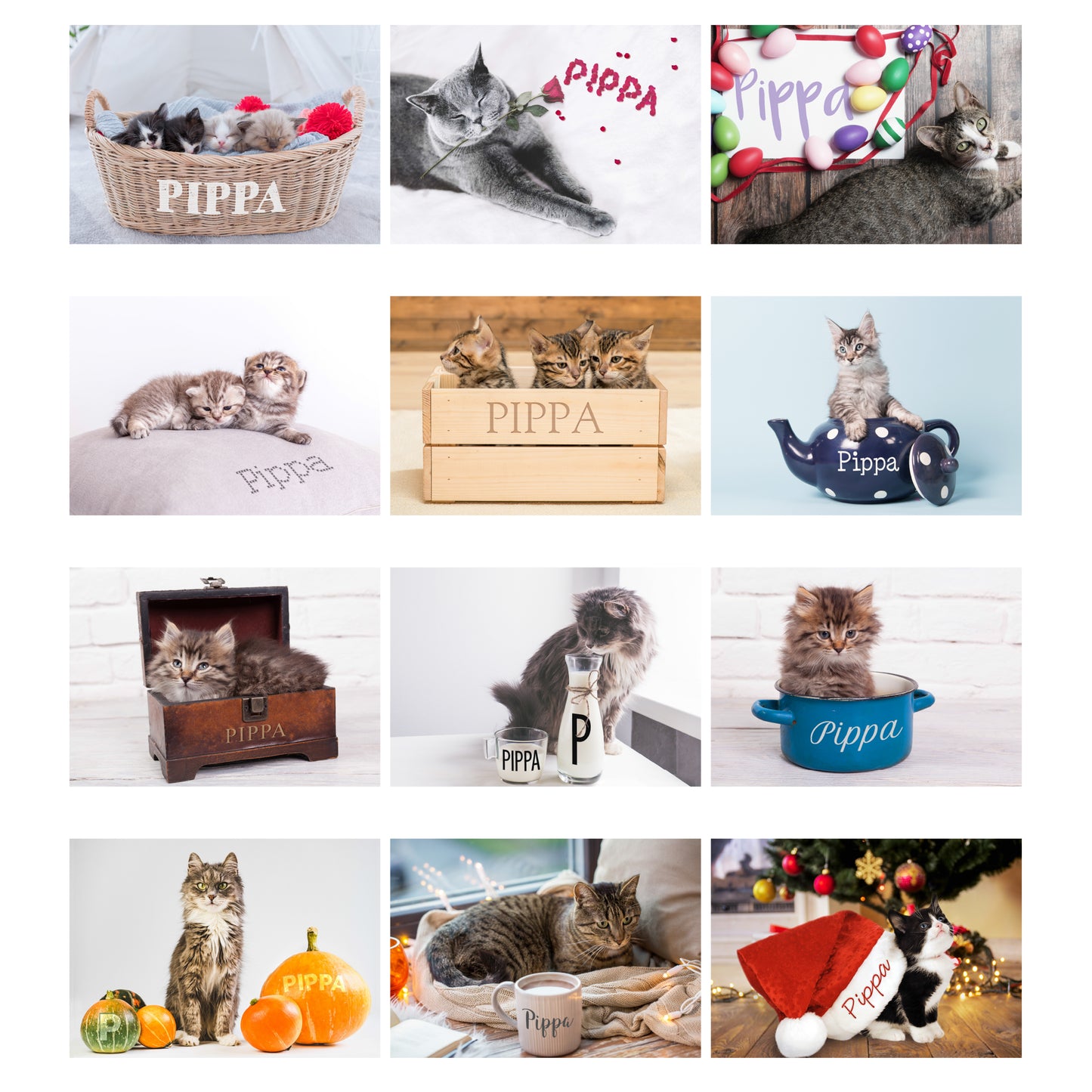 Personalised Cats and Kittens Desk Calendar