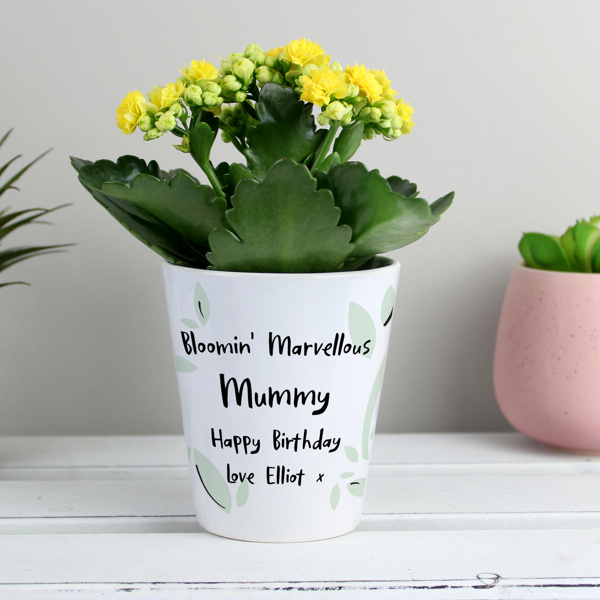 Personalised Free Text Botanical Plant Pot