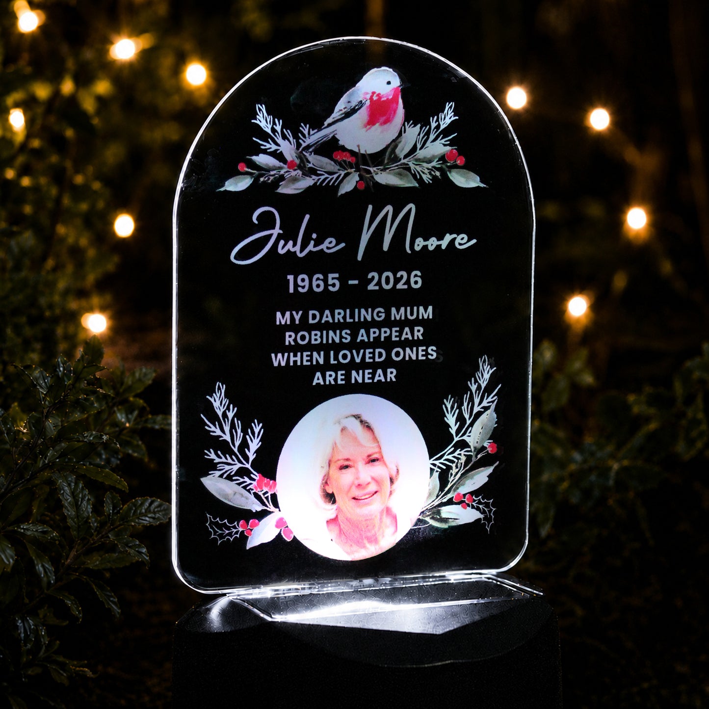 Personalised Robin Photo Upload Outdoor Solar LED Light