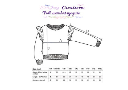 Girls/toddlers swan sweatshirt, frill sweatshirt, birthday top