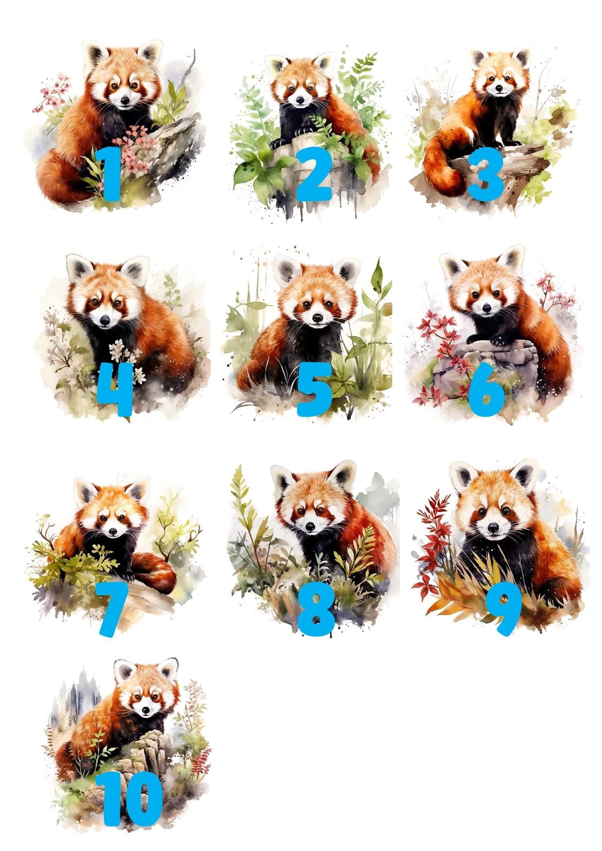 Personalised A5 red panda lined notebook