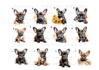 Personalised French Bulldog Money Box: Ceramic Coin Bank, Savings Jar