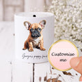 Personalised French Bulldog Money Box: Ceramic Coin Bank, Savings Jar