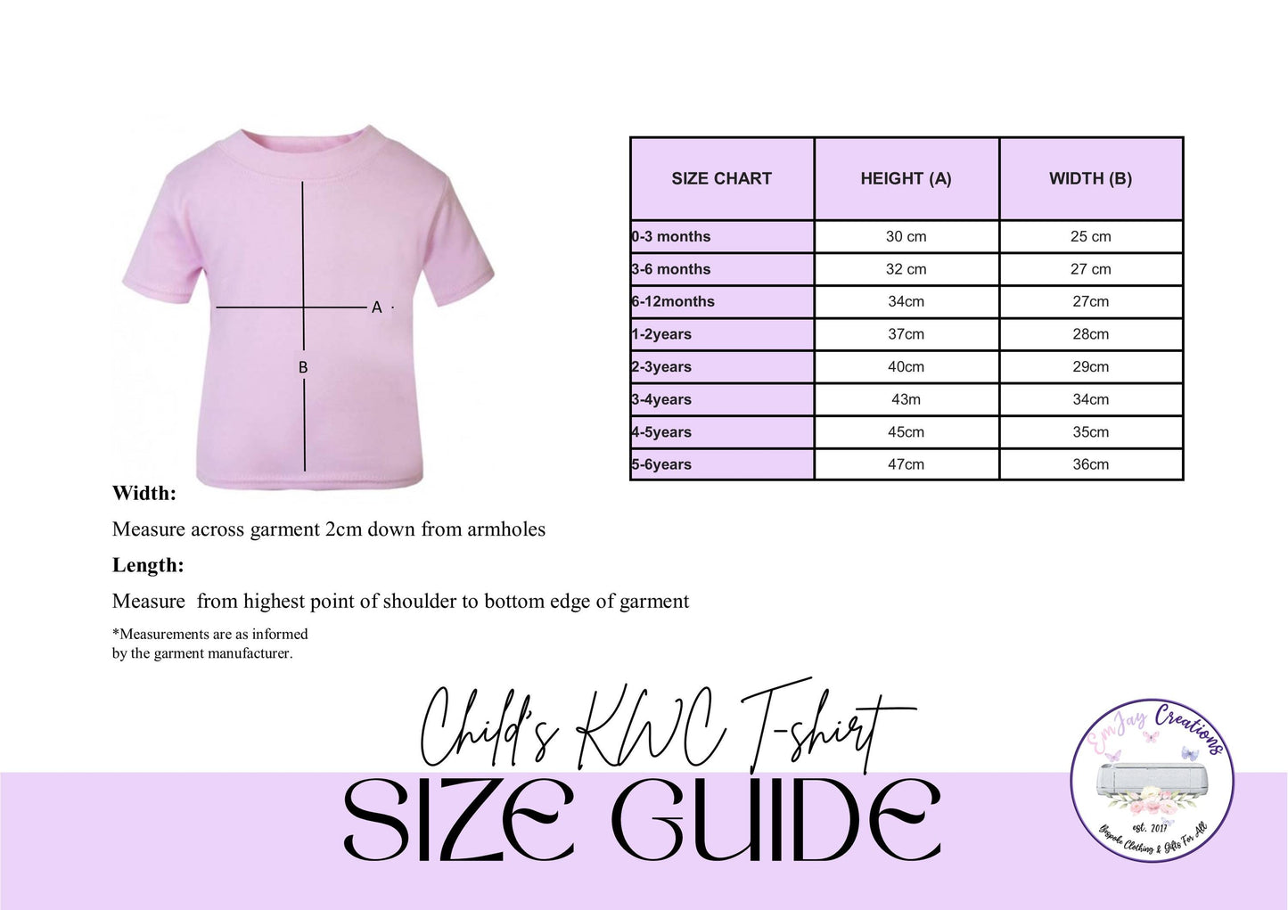 Personalised Big Sister Rainbow t-shirt, new baby announcement gift for sister, new sister gift