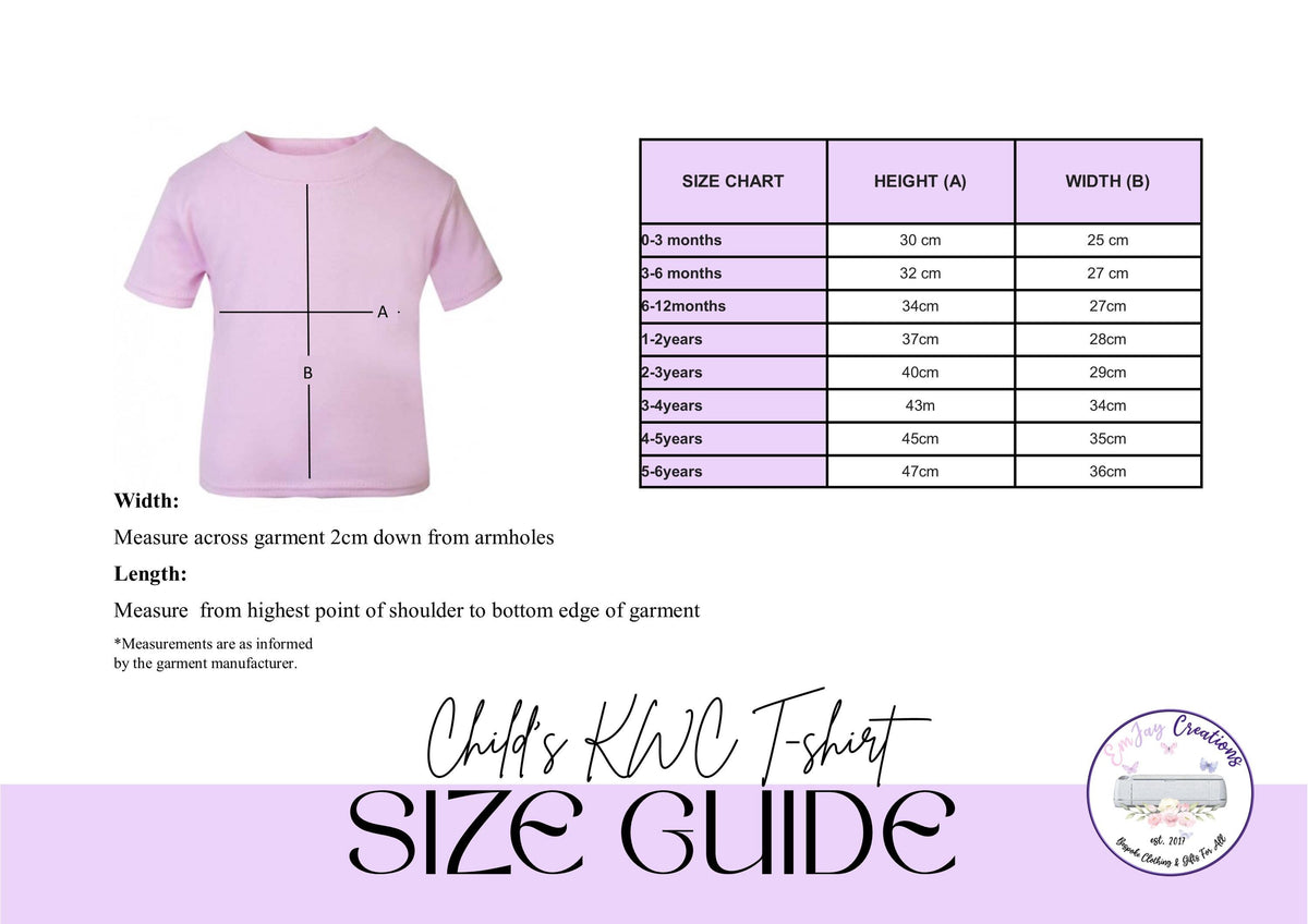 Personalised Big Sister Rainbow t-shirt, new baby announcement gift for sister, new sister gift