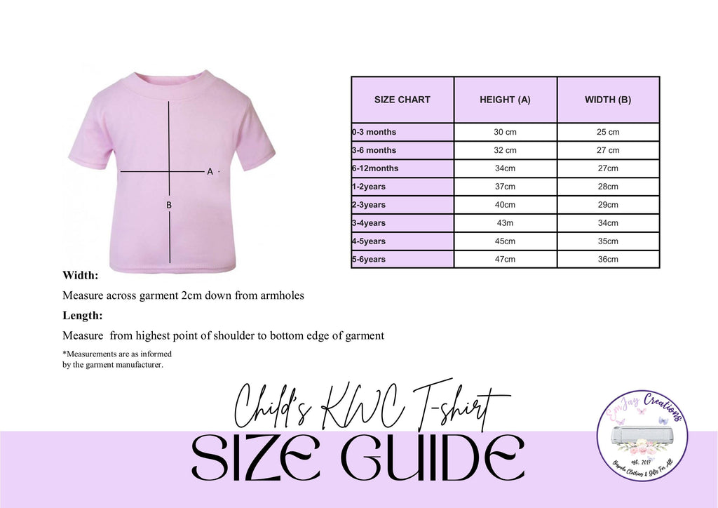 Personalised Big Sister t-shirt, new baby announcement gift for sister, new sister gift