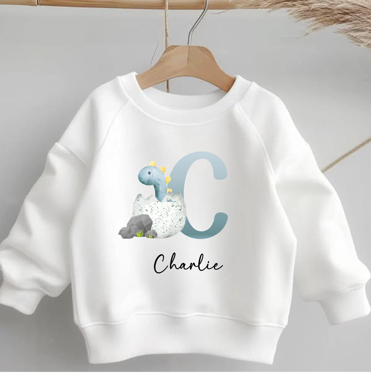 Boys personalised alphabet dinosaur sweatshirt