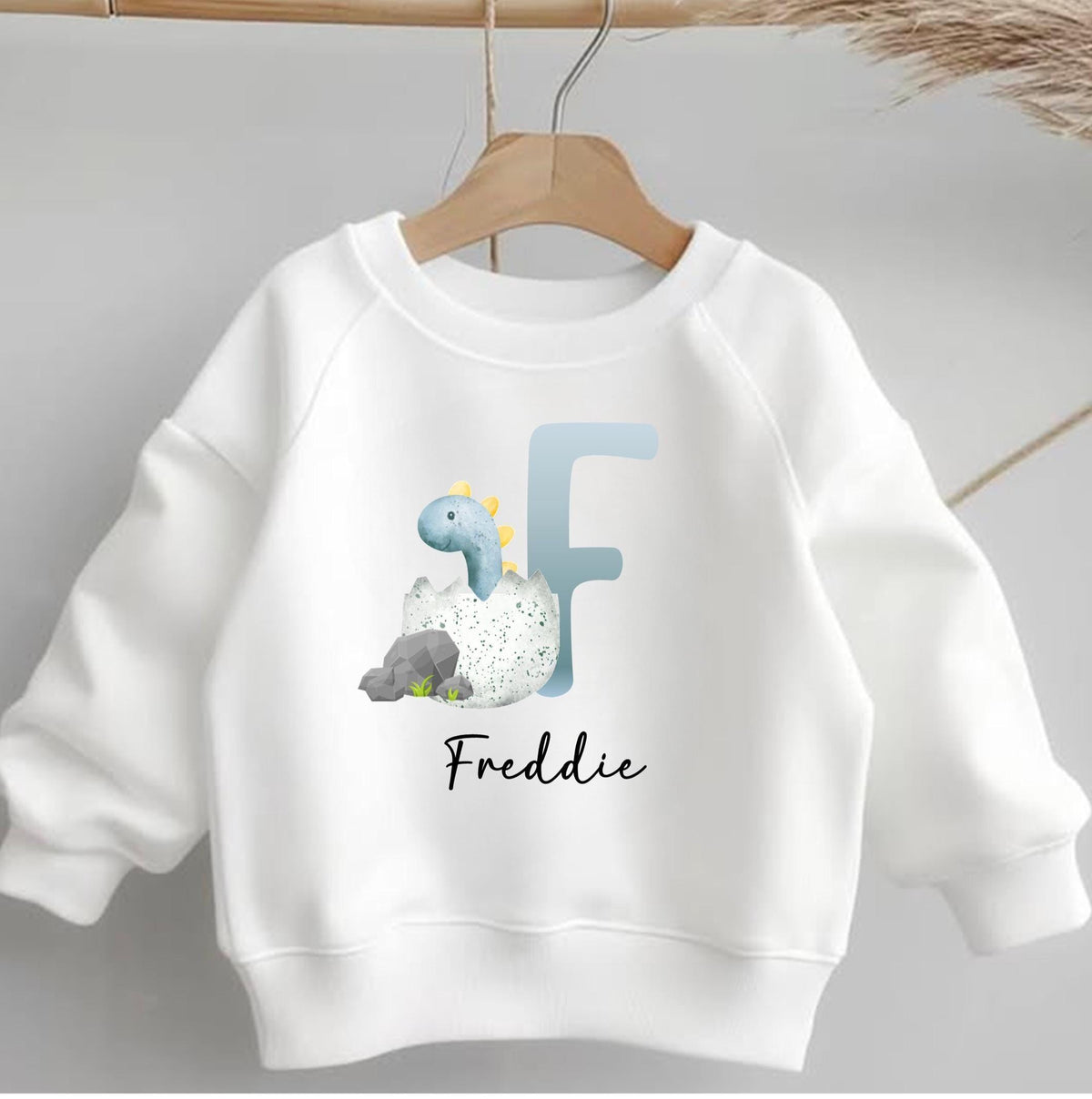 Boys personalised alphabet dinosaur sweatshirt