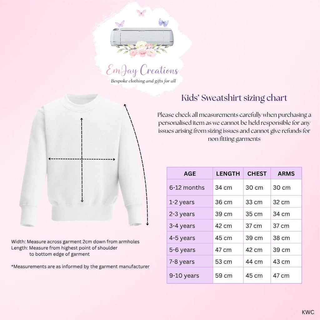 Personalised 'Promoted to Big Sister' Bear Sweatshirt, new baby announcement gift for sister, new sister gift, pregnancy announcement top