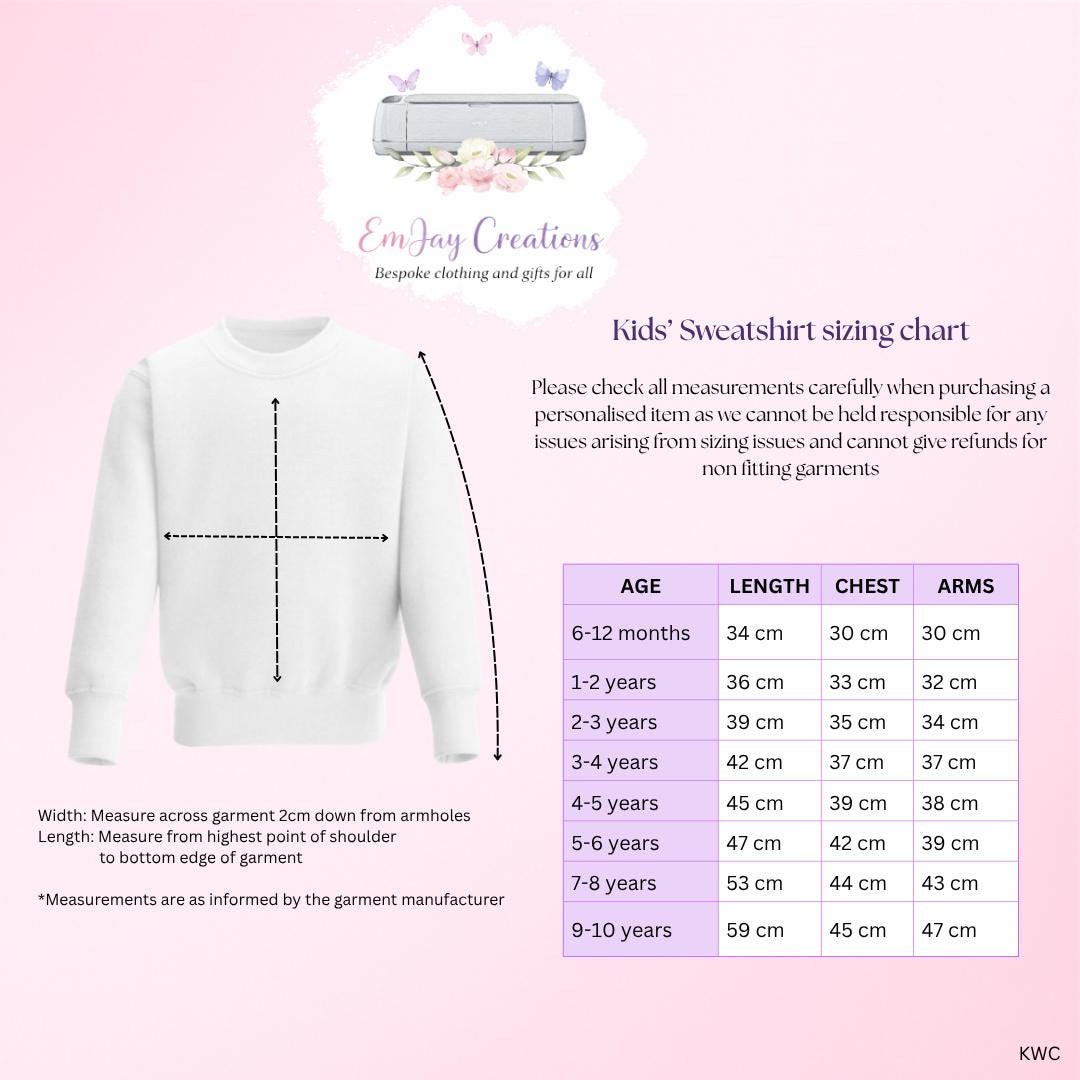 Personalised 'Promoted to Big Sister' Bear Sweatshirt, new baby announcement gift for sister, new sister gift, pregnancy announcement top