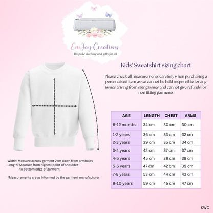 Personalised 'Promoted to Big Sister' Bear Sweatshirt, new baby announcement gift for sister, new sister gift, pregnancy announcement top
