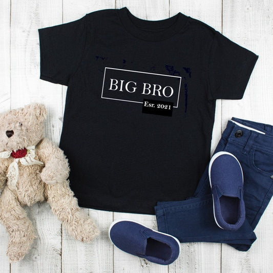 Big Bro established 2021 t-shirt, t-shirt for a new big brother, gift from the new baby