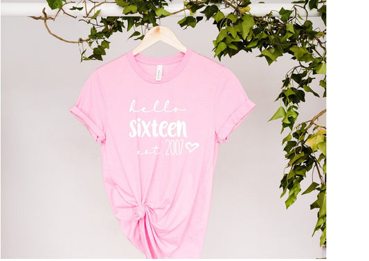 Hello Sixteen birthday t-shirt - pick your own colour personalised birthday tee